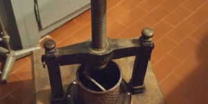 Beitragsbild des Blogbeitrags Weltantibiotikatag am 18. November