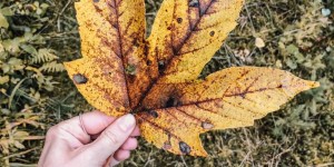 Beitragsbild des Blogbeitrags #monthlyrecap – September, Oktober, November – wo ist denn die Zeit hingerannt?