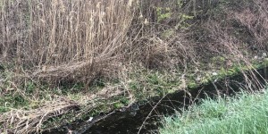 Beitragsbild des Blogbeitrags #InANutshell: Wir räumen auf