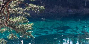 Beitragsbild des Blogbeitrags Grüner See – Ausflugstipp mit Einschränkungen