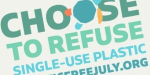 Beitragsbild des Blogbeitrags Plastic Free July 2019