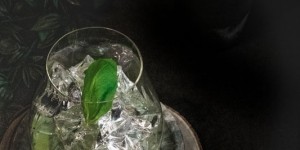 Beitragsbild des Blogbeitrags Gin Cocktail mit Basilikum –  Der Gin Basil Smash 