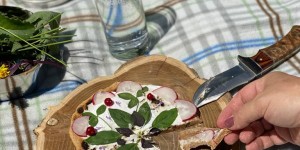 Beitragsbild des Blogbeitrags Feuerfleck – und ein essbares Naturmandala