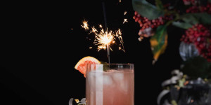 Beitragsbild des Blogbeitrags Gin Tonic mit Grapefruit – ein perfekter Silvester Aperitiv