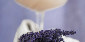 Beitragsbild des Blogbeitrags Trilogie vom Lavendel (am Weinberg) – Rezepte mit Lavendel