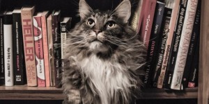 Beitragsbild des Blogbeitrags Literaturtipps: Kunst verkaufen