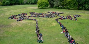 Beitragsbild des Blogbeitrags Beyond Cultural War