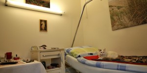 Beitragsbild des Blogbeitrags The last home