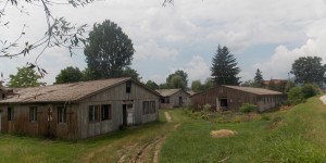 Beitragsbild des Blogbeitrags No country for the needy