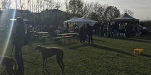 Beitragsbild des Blogbeitrags Ein Besuch am Windhundweihnachtsmarkt