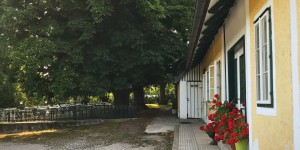 Beitragsbild des Blogbeitrags Ausflug zur Meierei Füllenberg