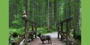 Beitragsbild des Blogbeitrags Insidertipp: Hundeurlaub bei der Wasnerin in Bad Aussee – Teil 2 