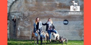 Beitragsbild des Blogbeitrags Monatspfoto Februar – Streetstyle