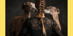 Beitragsbild des Blogbeitrags Ein Galgo aus Spanien zieht bei mir ein! 