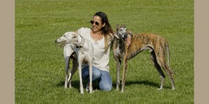 Beitragsbild des Blogbeitrags „Galgos run free“ am Frühlingfest 