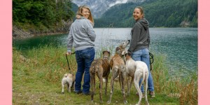 Beitragsbild des Blogbeitrags Urlaub mit Hund – Rußbach, Gosau, Traunsee – Salzburg & Oberösterreich
