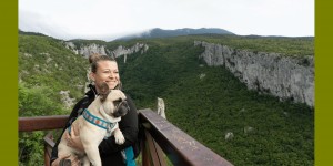 Beitragsbild des Blogbeitrags Urlaub mit Hund in Istrien, Kroation – Teil 1 