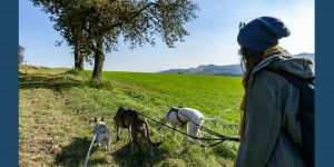 Beitragsbild des Blogbeitrags Hundefreundliche Wanderung durch die Bucklige Welt, NÖ
