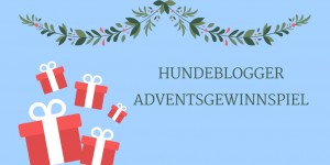 Beitragsbild des Blogbeitrags Hundeblogger Adventsgewinnspiel