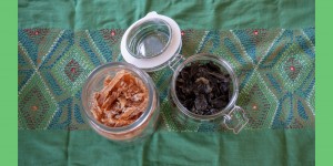 Beitragsbild des Blogbeitrags DIY – Hundesnacks: wie mache ich Dörrfleisch für meinen Hund?