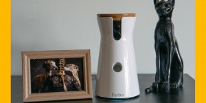 Beitragsbild des Blogbeitrags Die Furbo Hundekamera im Hundereise Test 