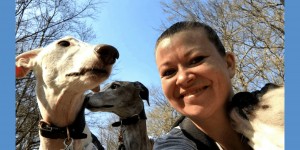 Beitragsbild des Blogbeitrags Hundefreundliche Wanderung in Donnerskirchen, Burgenland 