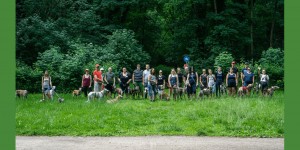 Beitragsbild des Blogbeitrags 10th Great Global Greyhound Walk in Vienna, 2019 