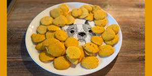 Beitragsbild des Blogbeitrags Rezept für getreidefreie Karotten Apfel Hundekekse 