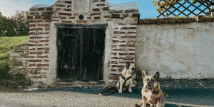 Beitragsbild des Blogbeitrags Rechnitz im Burgenland mit Hund – die Unterkunft 
