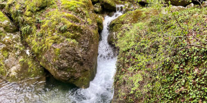Beitragsbild des Blogbeitrags Myrafälle mit Hund, Ausflug in NÖ