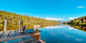 Beitragsbild des Blogbeitrags Urlaub am Packer Stausee, Steiermark