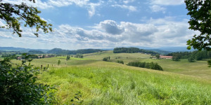 Beitragsbild des Blogbeitrags Hundefreundliche Ausflüge rund um den Packer Stausee – Teil 2