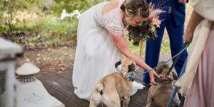 Beitragsbild des Blogbeitrags Hochzeit mit Hund – Archie und Murphy erzählen