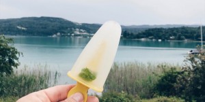 Beitragsbild des Blogbeitrags Almdudler-Sirup oder einfach selber machen!