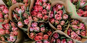 Beitragsbild des Blogbeitrags #mamajoylist: Stifte deine 10 Glücksmomente!
