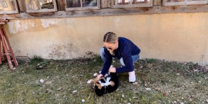Beitragsbild des Blogbeitrags Hund und Kinder: Unsere Familie ist gewachsen!