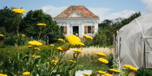 Beitragsbild des Blogbeitrags Lieblingsplätze: Zu Gast im Schaugarten Arche Noah in Niederösterreich