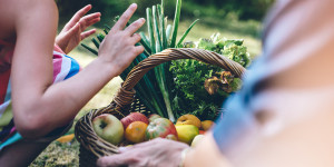 Beitragsbild des Blogbeitrags Da haben wir den Salat! Wie wir klimafreundlich genießen können 