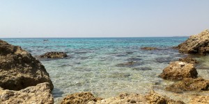 Beitragsbild des Blogbeitrags Von tausenden Fischen umgeben – unser Reisemoment 2017