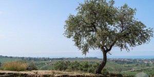 Beitragsbild des Blogbeitrags Italienische Reise – eine Abenteuer auf Goethes Spuren