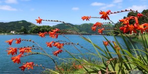 Beitragsbild des Blogbeitrags Beste Reisezeit für die Azoren – Sao Miguel im Sommer
