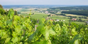 Beitragsbild des Blogbeitrags Der Eisenberg – ein südburgenländisches Weinidyll