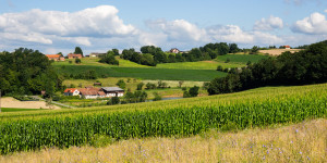 Beitragsbild des Blogbeitrags 10 Südburgenland Tipps – Unterwegs in Gemütlichkeit 