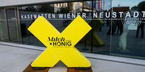 Beitragsbild des Blogbeitrags Milch & Honig Festival: Ein Kulturwochenende in Wiener Neustadt