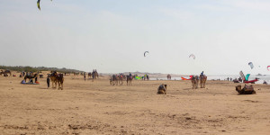 Beitragsbild des Blogbeitrags Essaouira Beach: All you have to know!