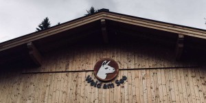 Beitragsbild des Blogbeitrags Zu Gast bei Wald am See