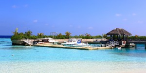 Beitragsbild des Blogbeitrags Die faszinierende Unterwasserwelt der Malediven