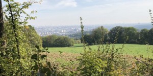 Beitragsbild des Blogbeitrags Vorbereitung – zwischen Wunsch und Wirklichkeit