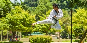 Beitragsbild des Blogbeitrags Der Erolgsgarant für dein Ziel 2019? Kung-Fu! 