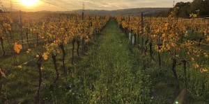 Beitragsbild des Blogbeitrags Perspektivenwechsel Nightrun